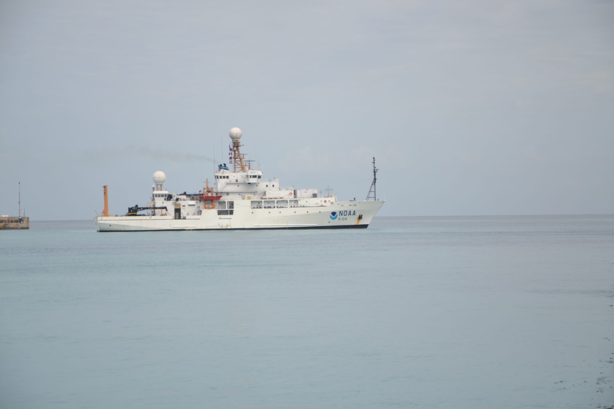 DSC_0019.jpg