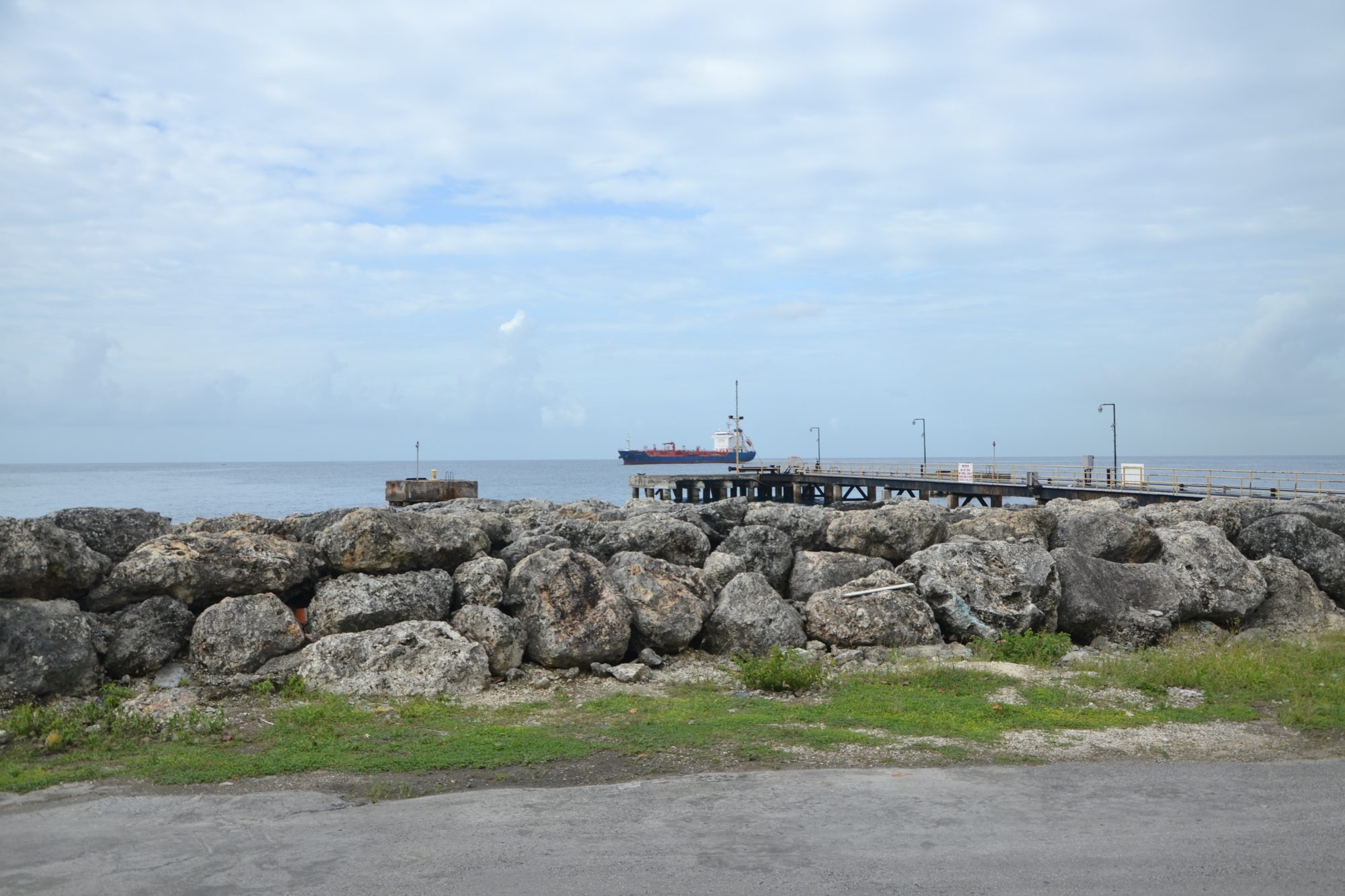 DSC_0021.jpg
