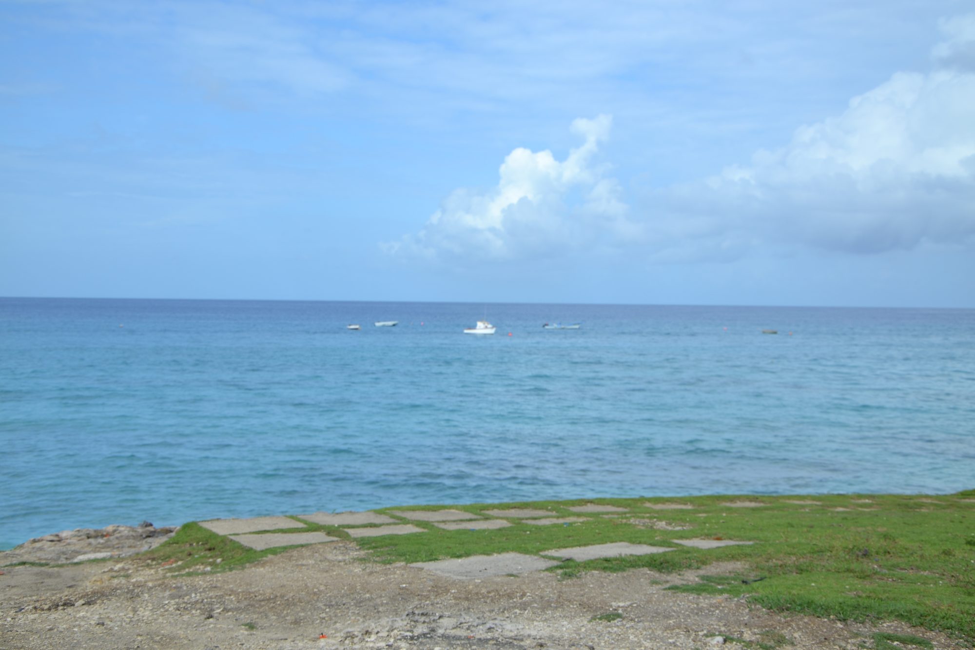 DSC_0048.jpg