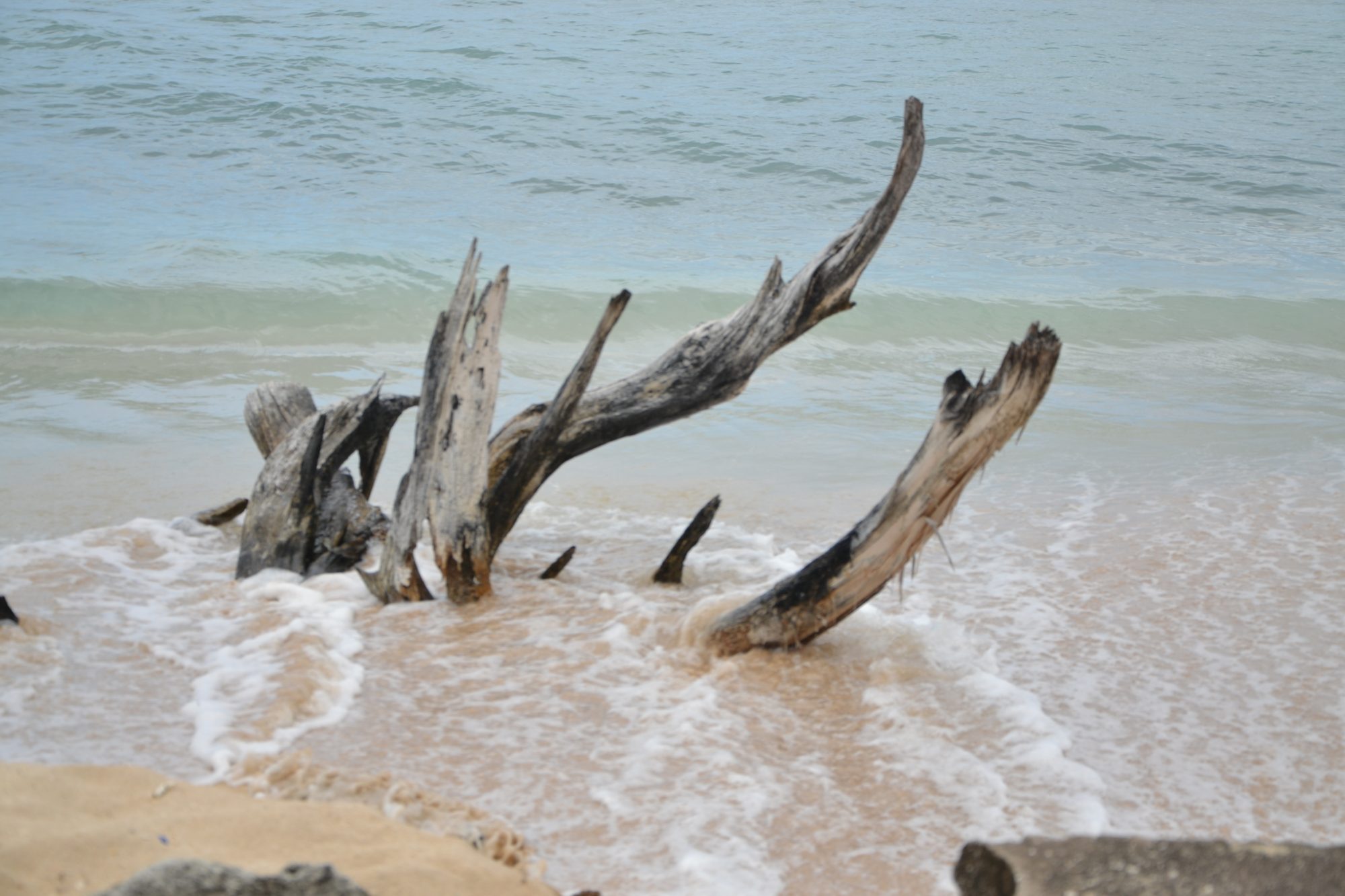 DSC_0073.jpg