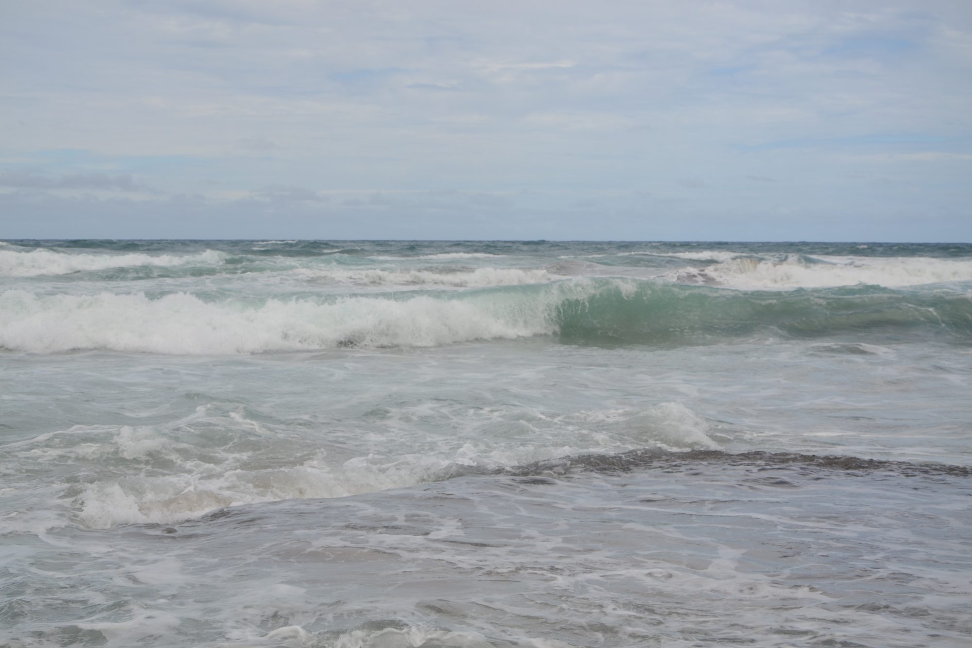 DSC_0133.jpg