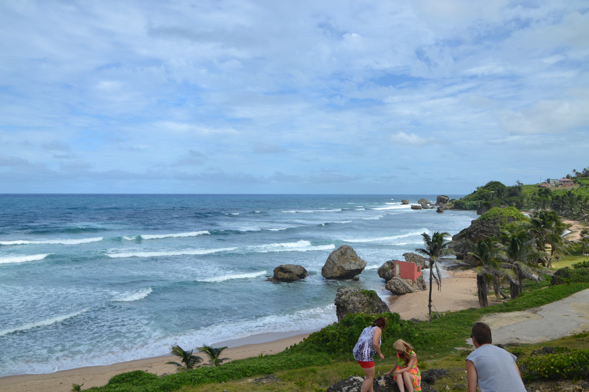 DSC_0149.jpg