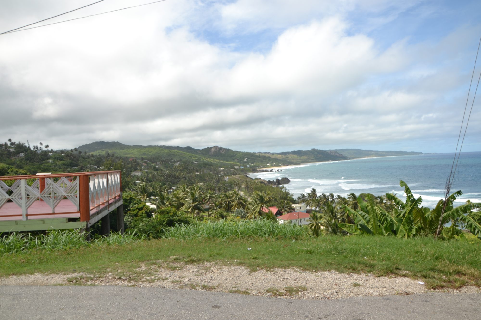 DSC_0178.jpg