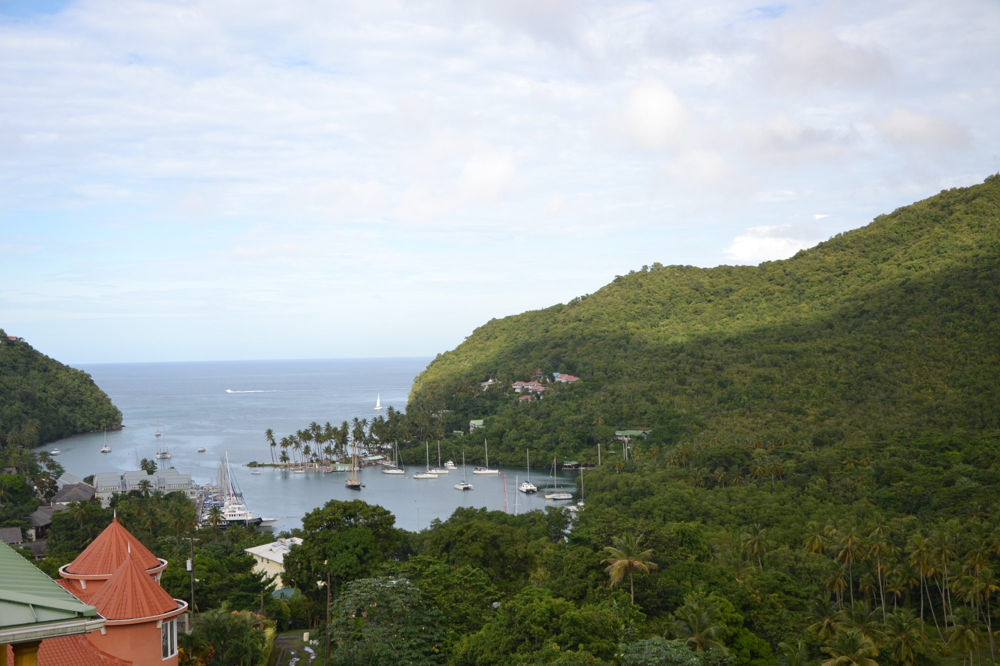 DSC_0236.jpg