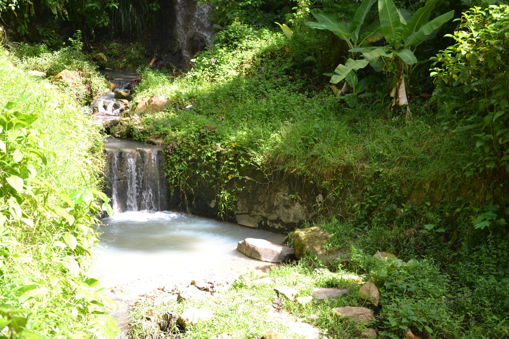 DSC_0313.jpg