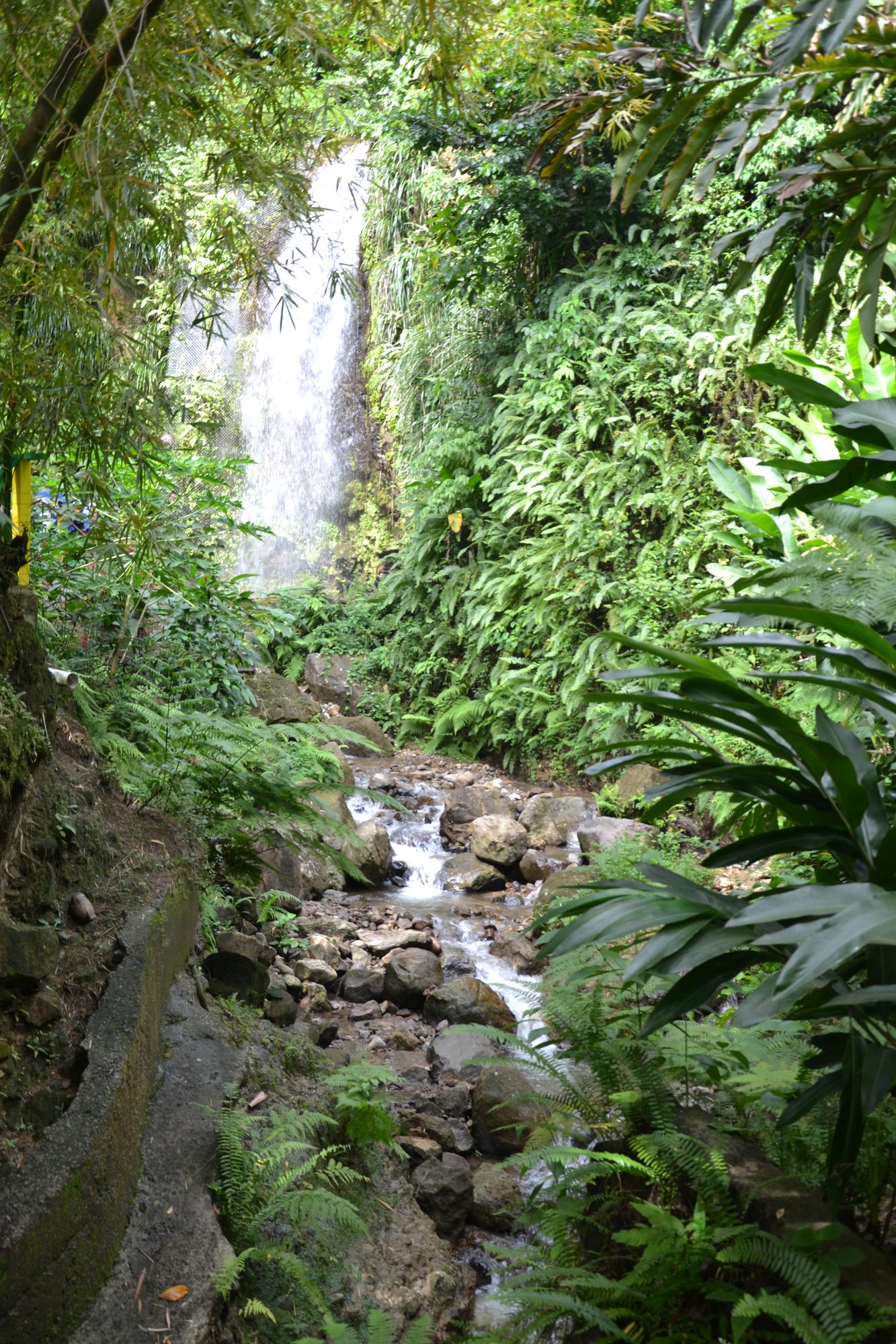 DSC_0375.jpg