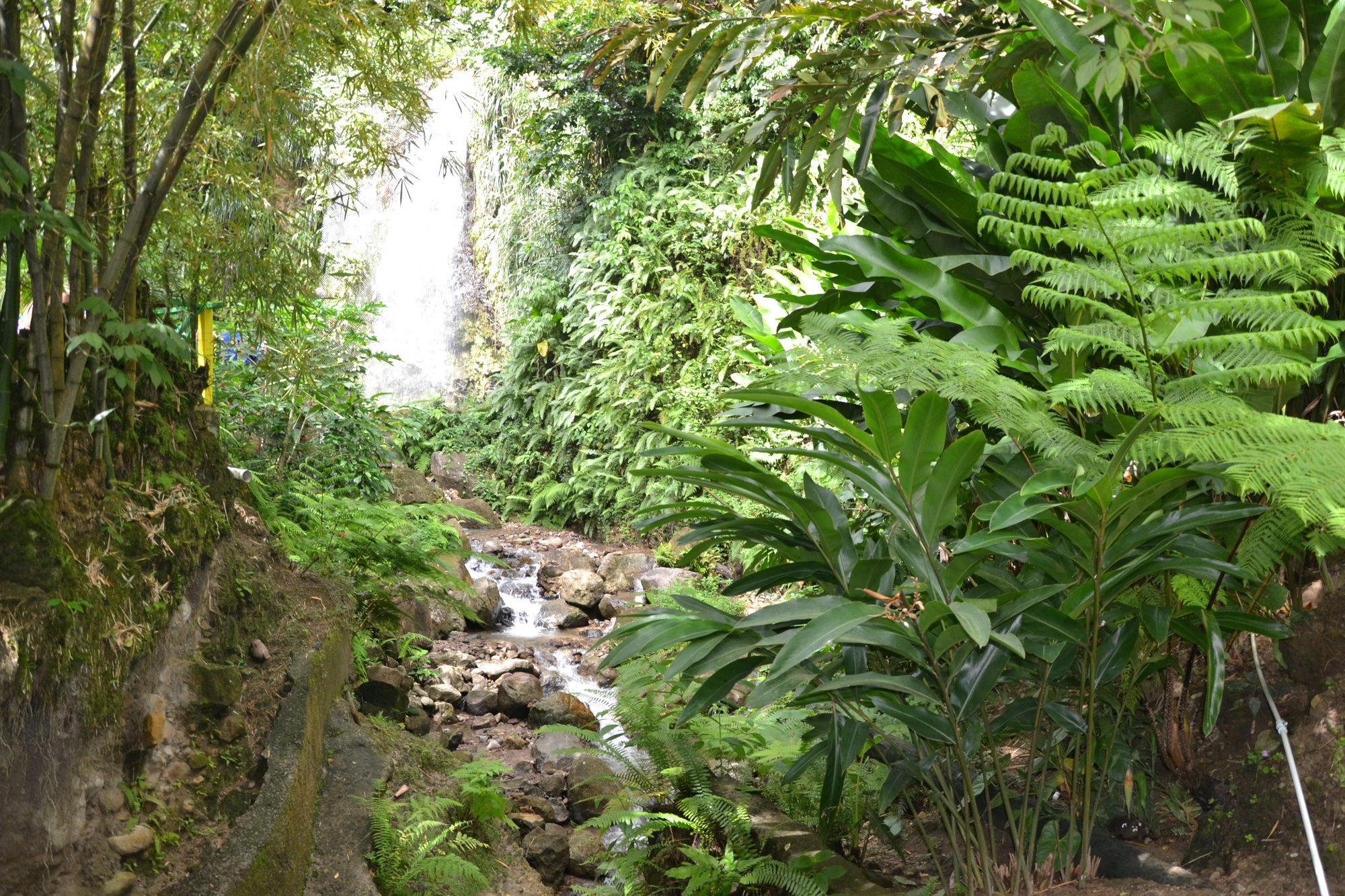 DSC_0376.jpg
