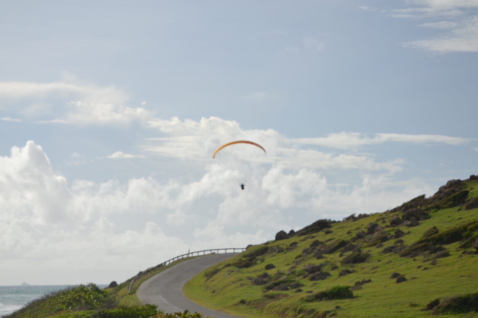 DSC_0412.jpg