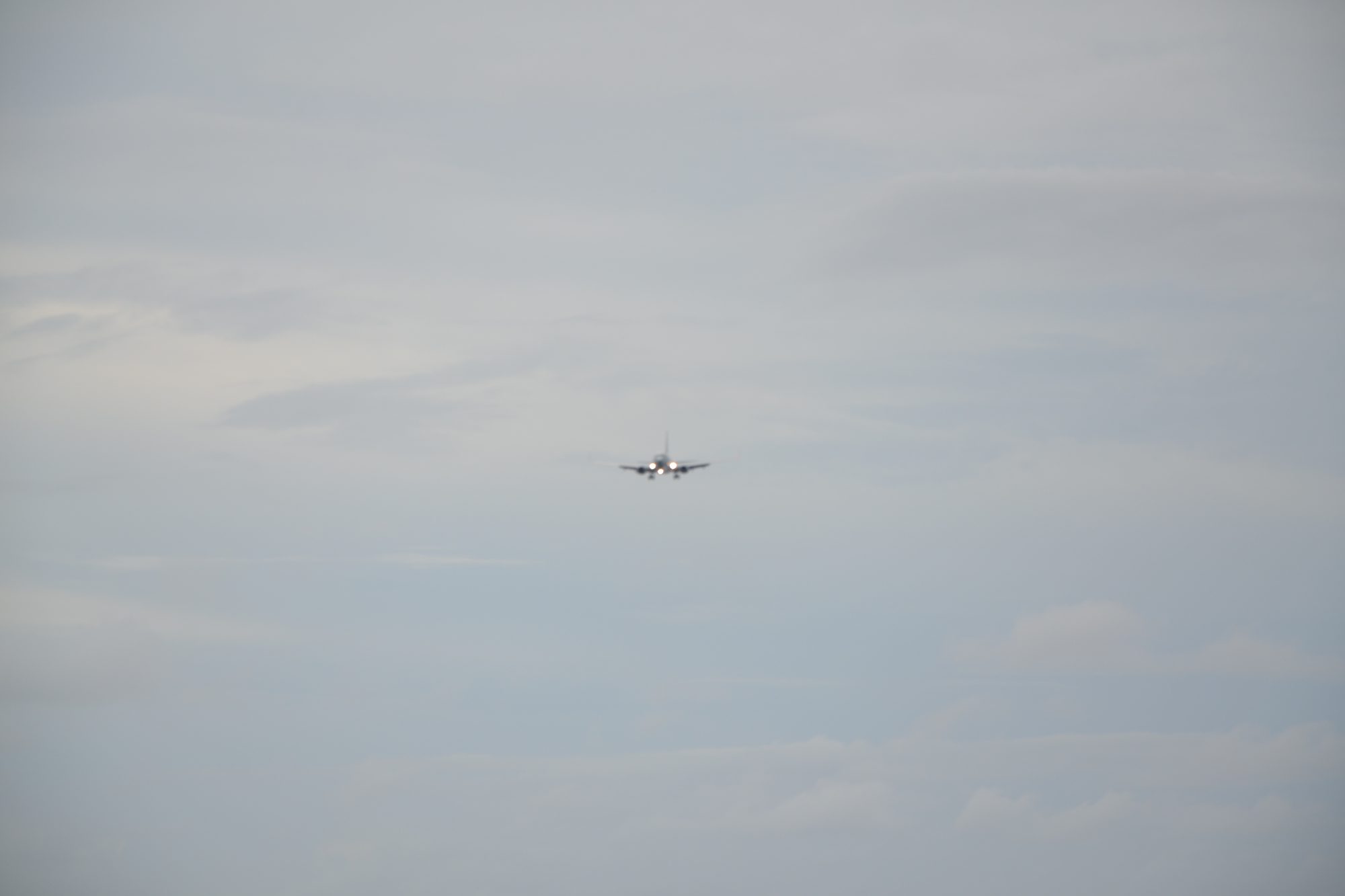 DSC_0644.jpg
