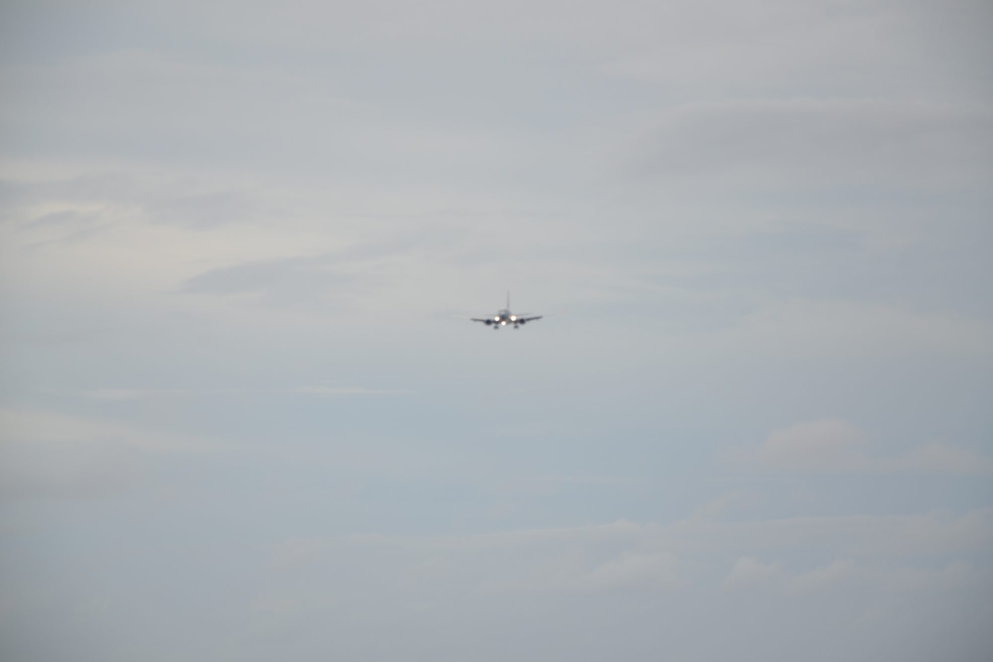 DSC_0648.jpg