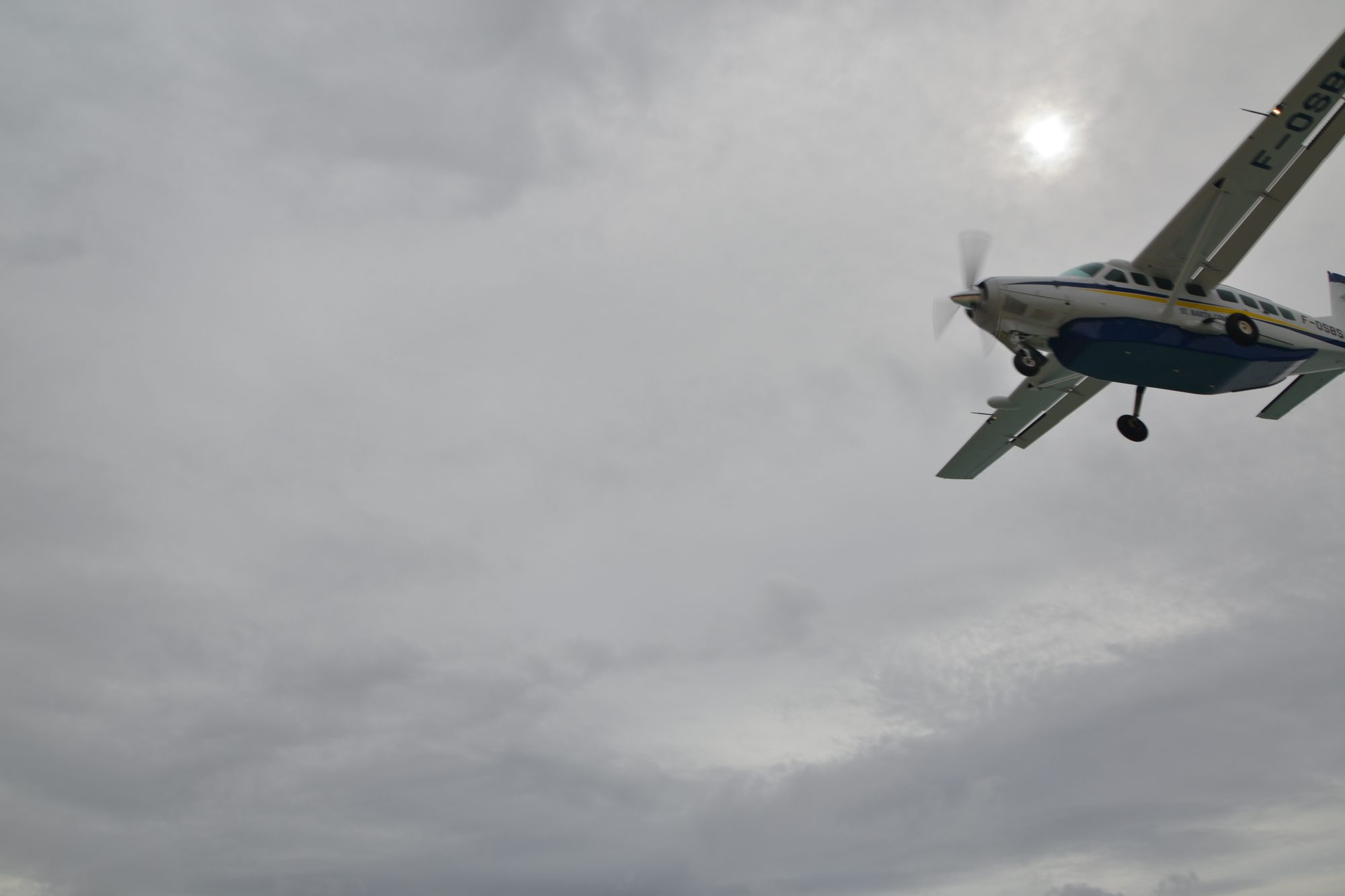 DSC_0690.jpg