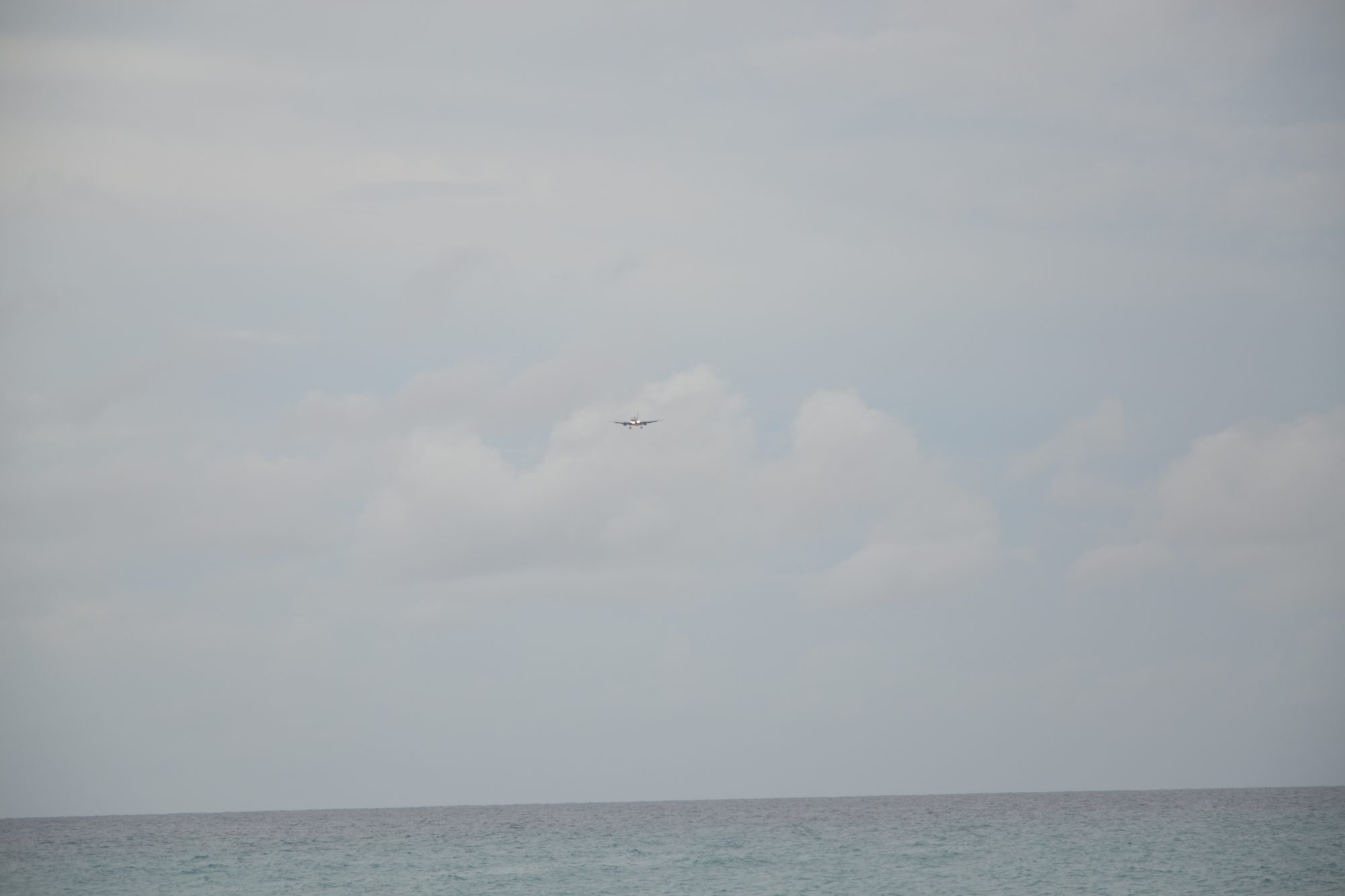 DSC_0746.jpg