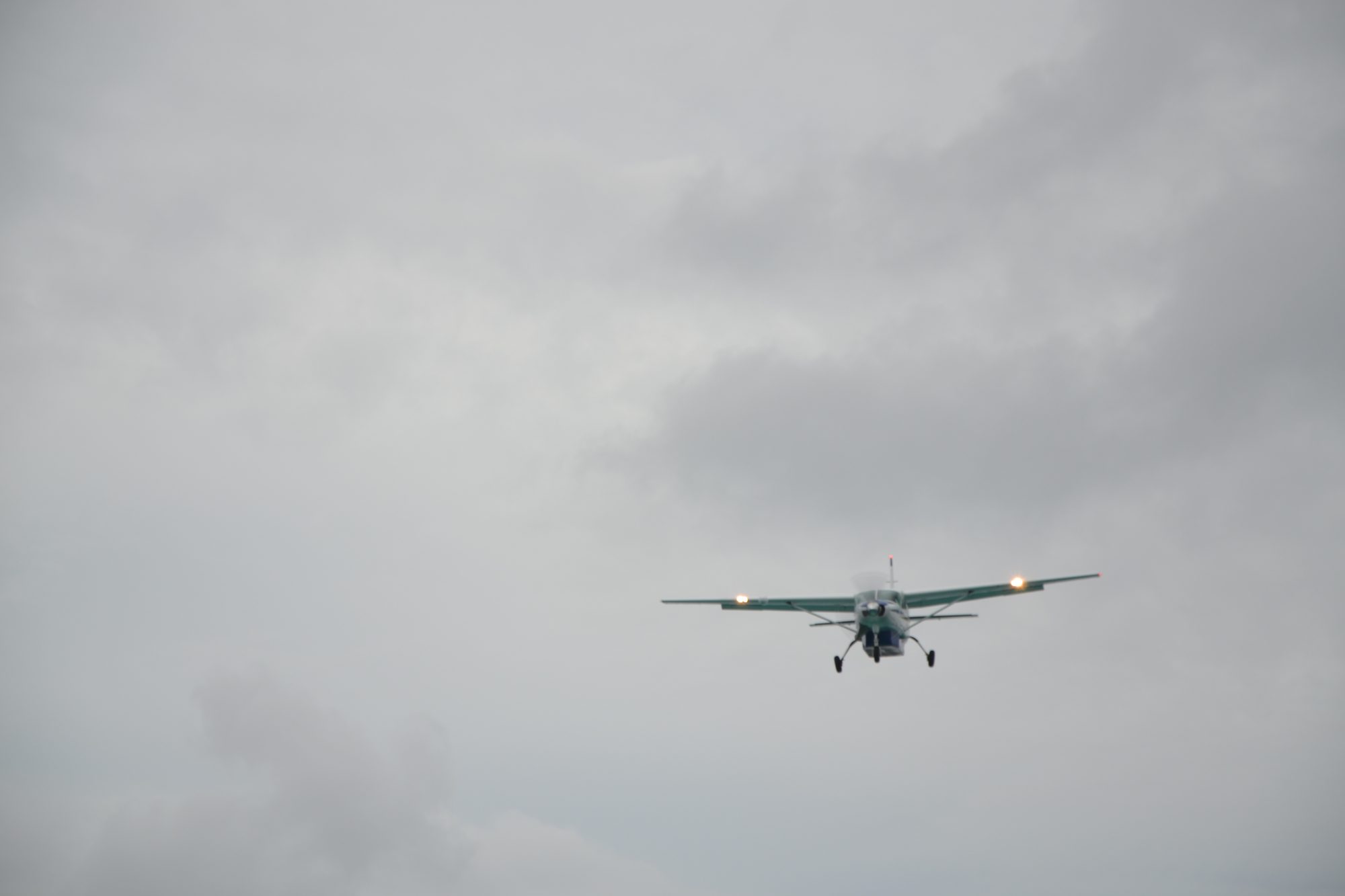 DSC_0799.jpg