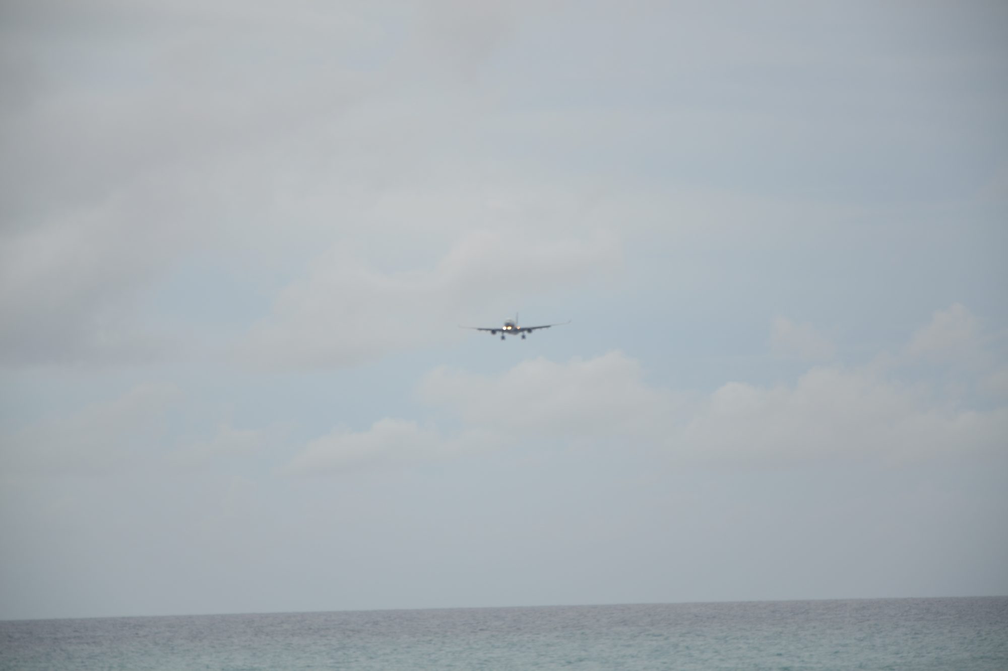 DSC_0813.jpg