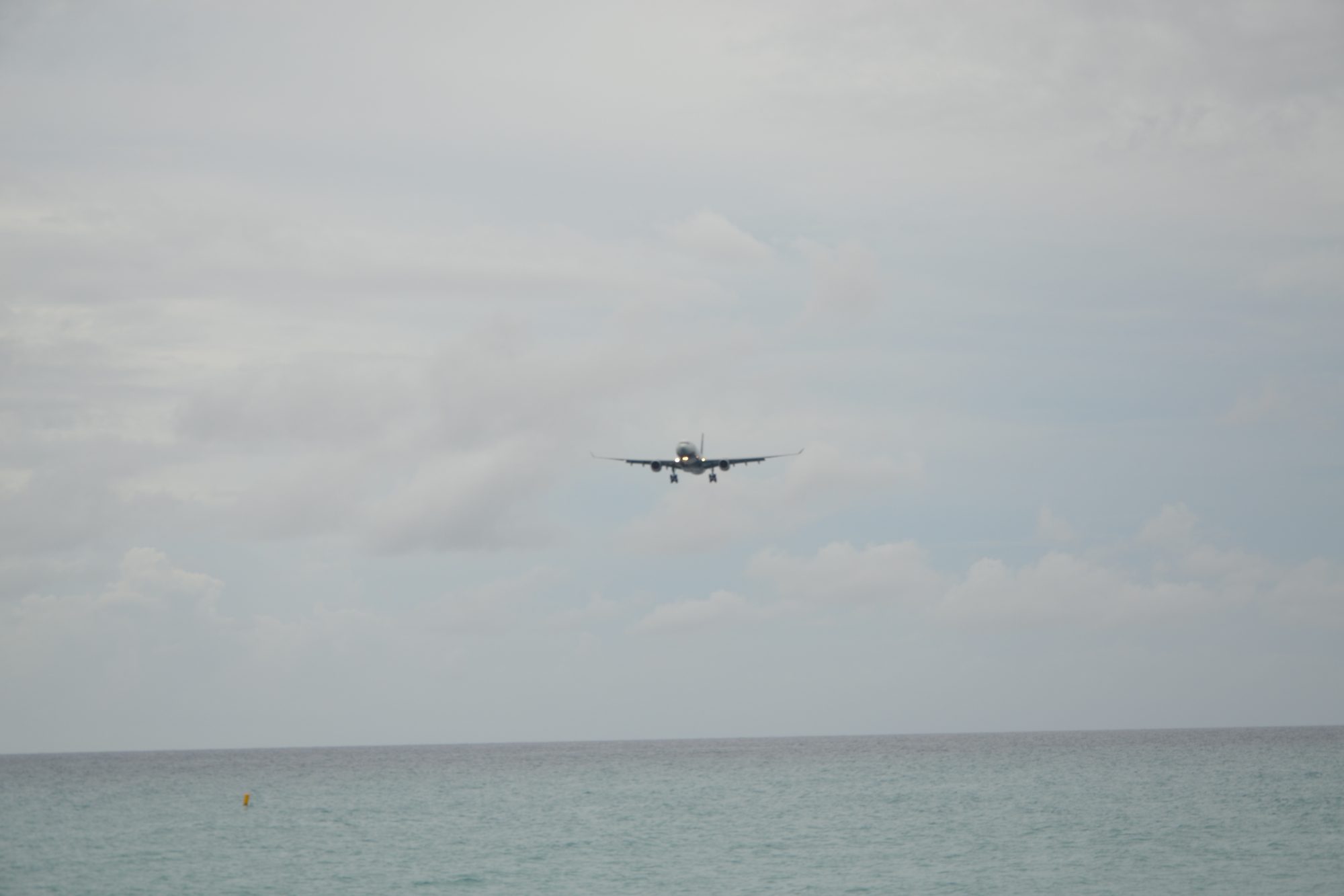 DSC_0833.jpg