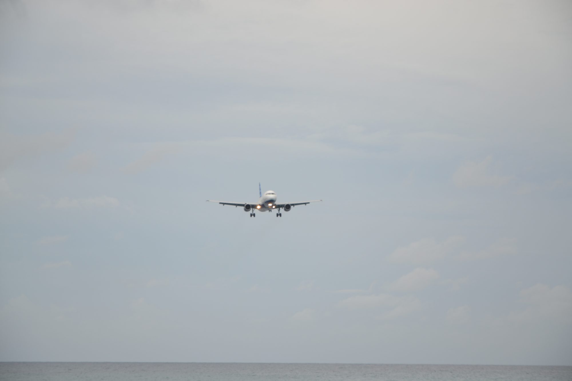 DSC_0931.jpg