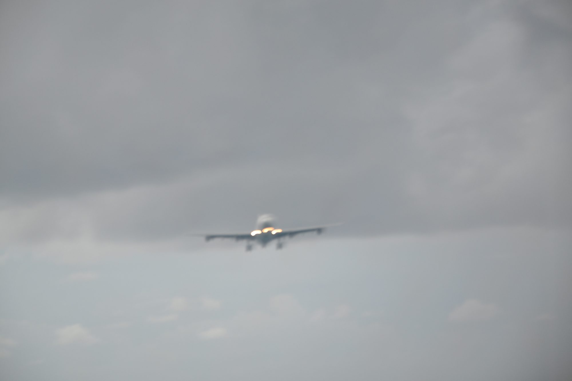 DSC_0974.jpg