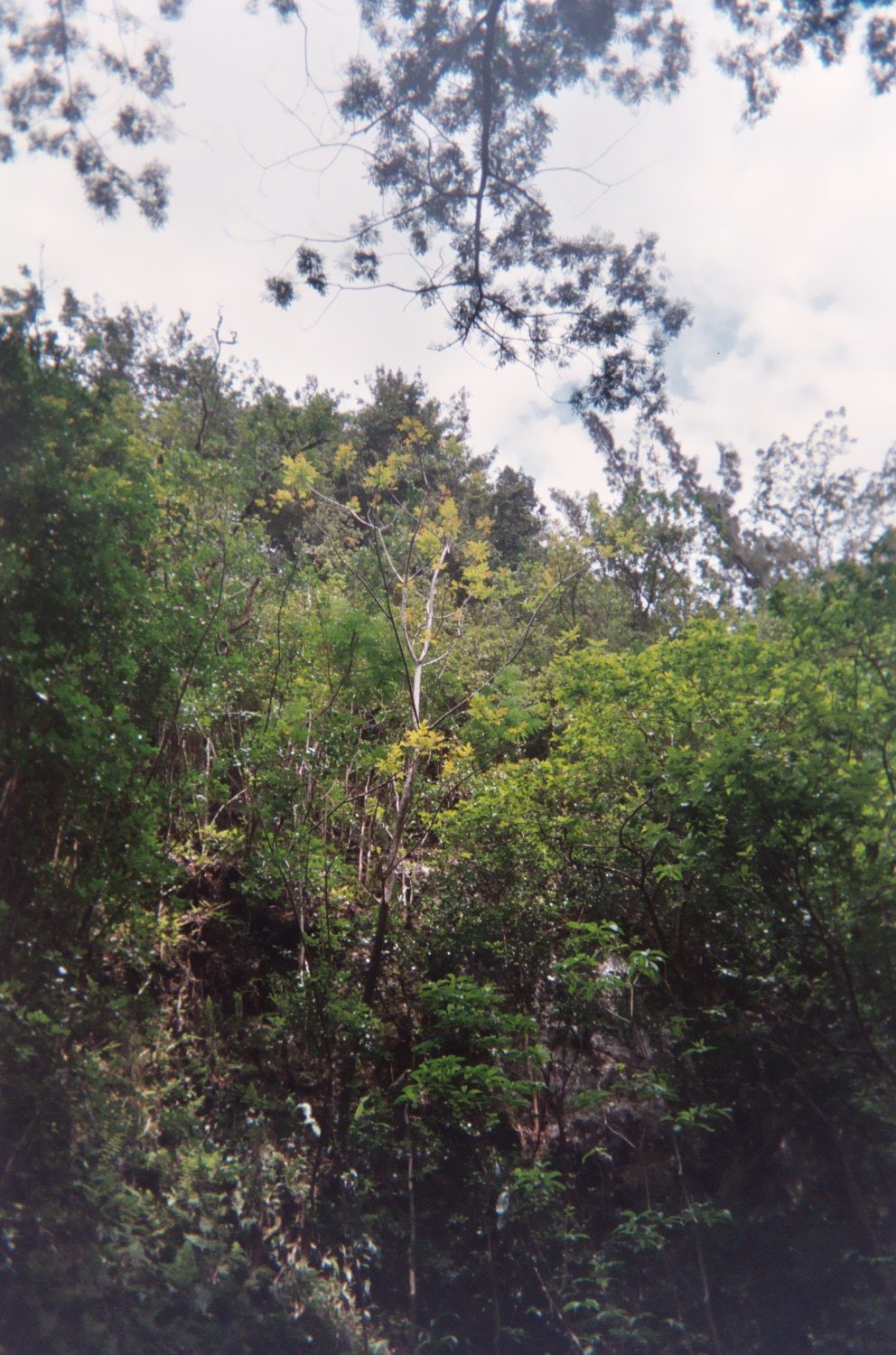 014_12A.jpg