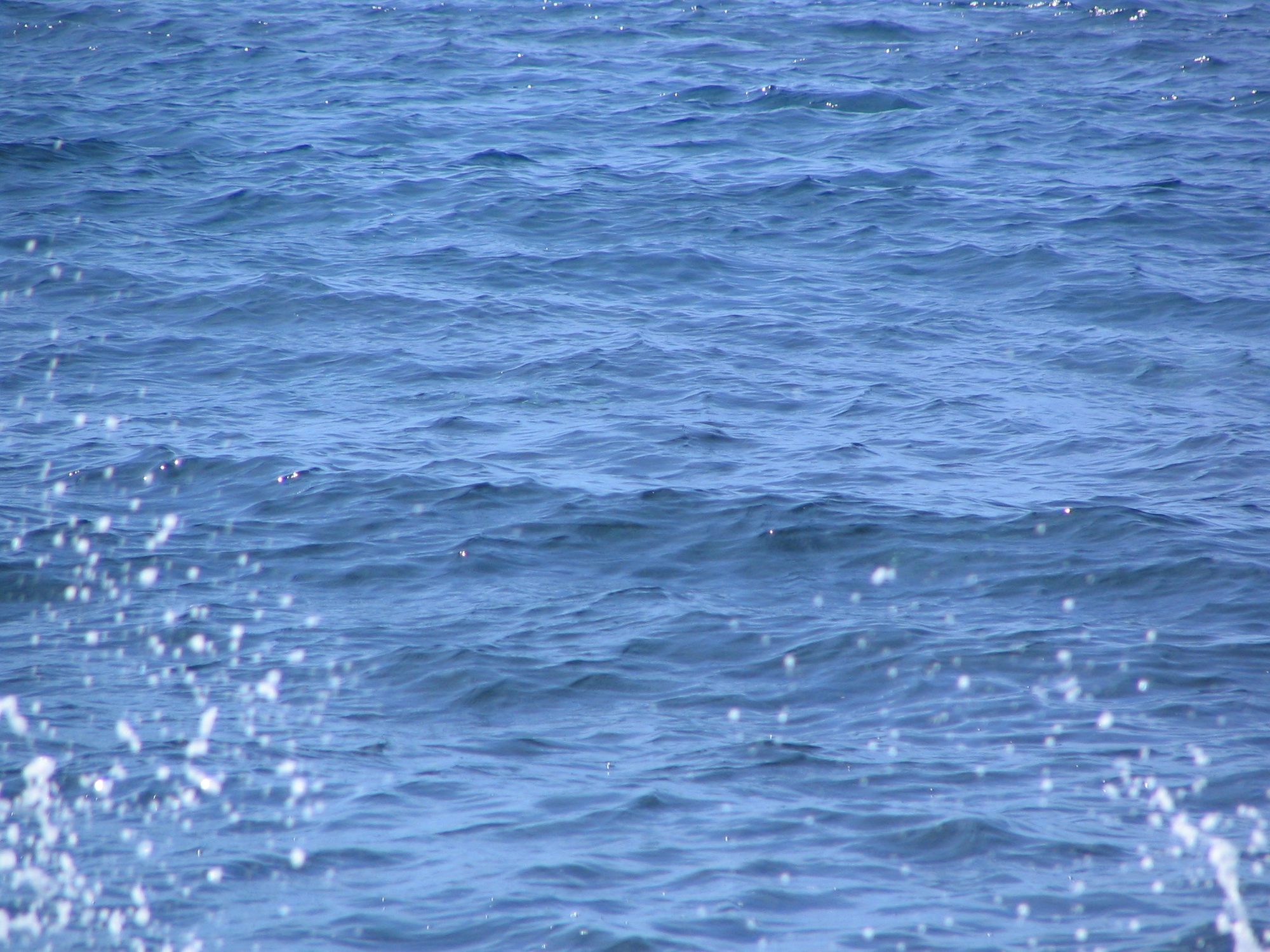 IMG_2068.jpg