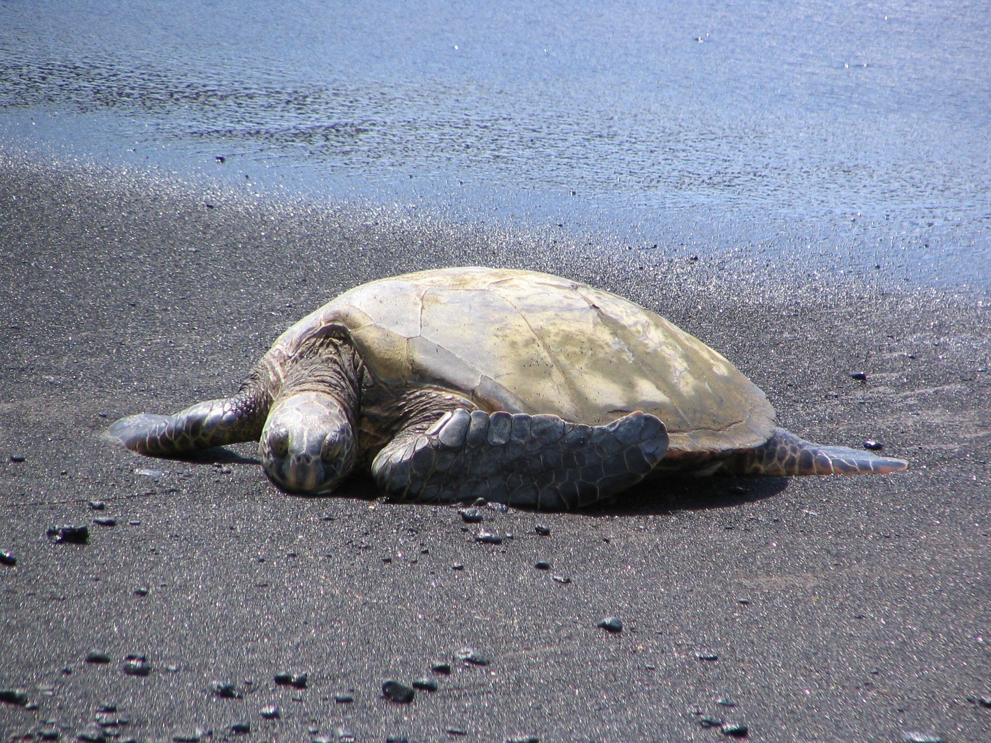 IMG_2080.jpg