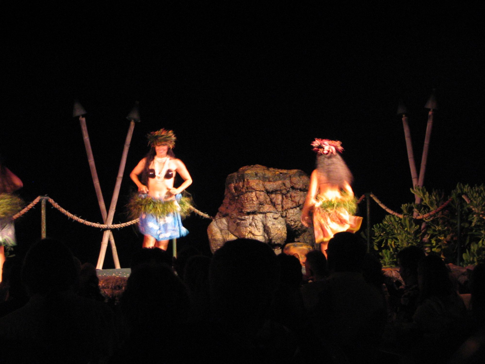 IMG_2311.jpg