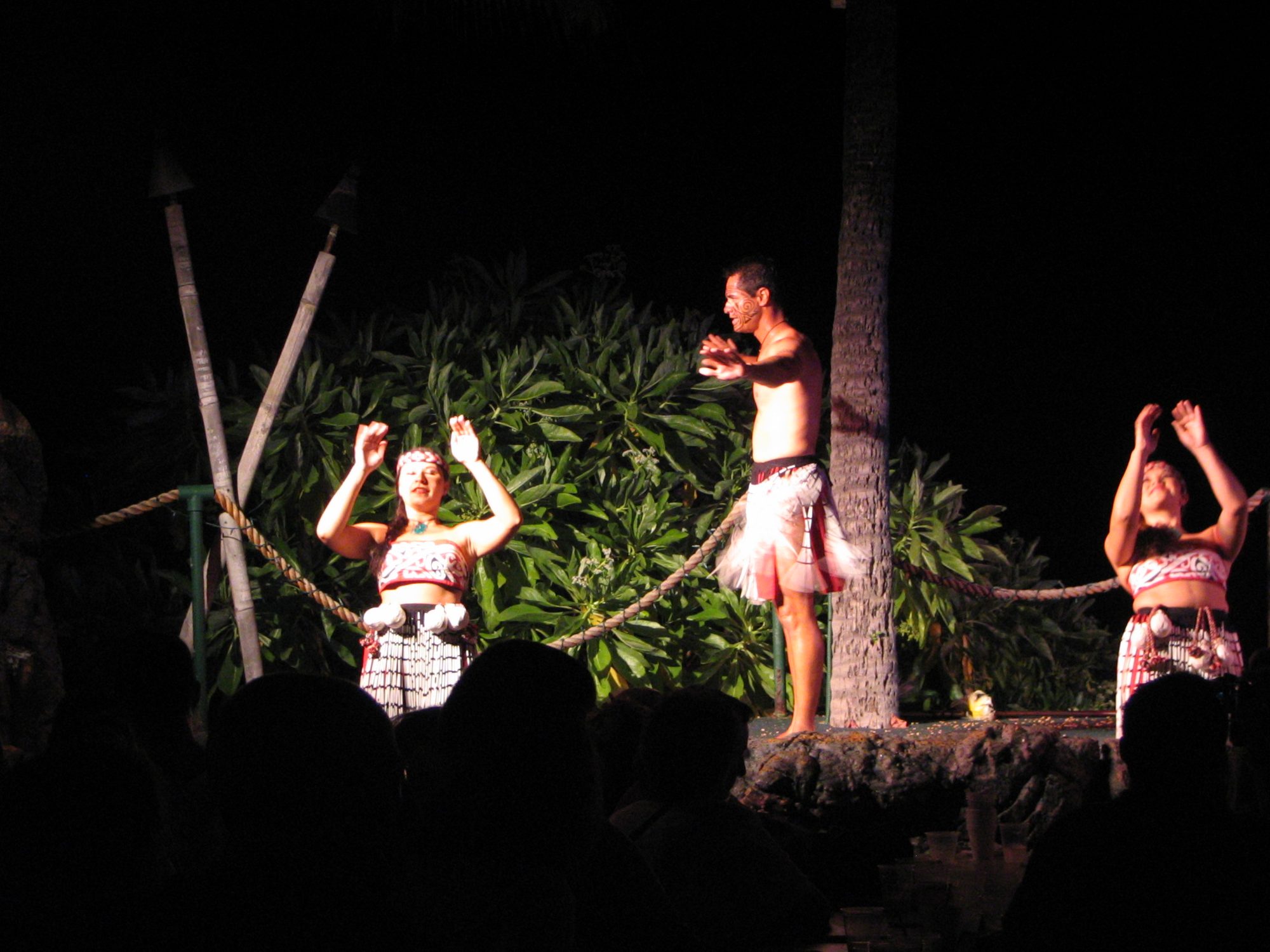 IMG_2313.jpg