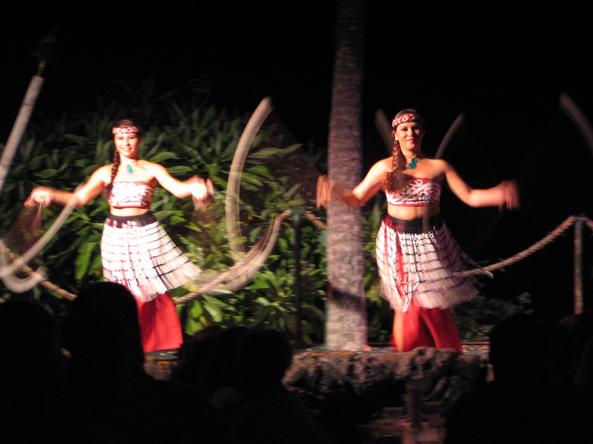 IMG_2317.jpg