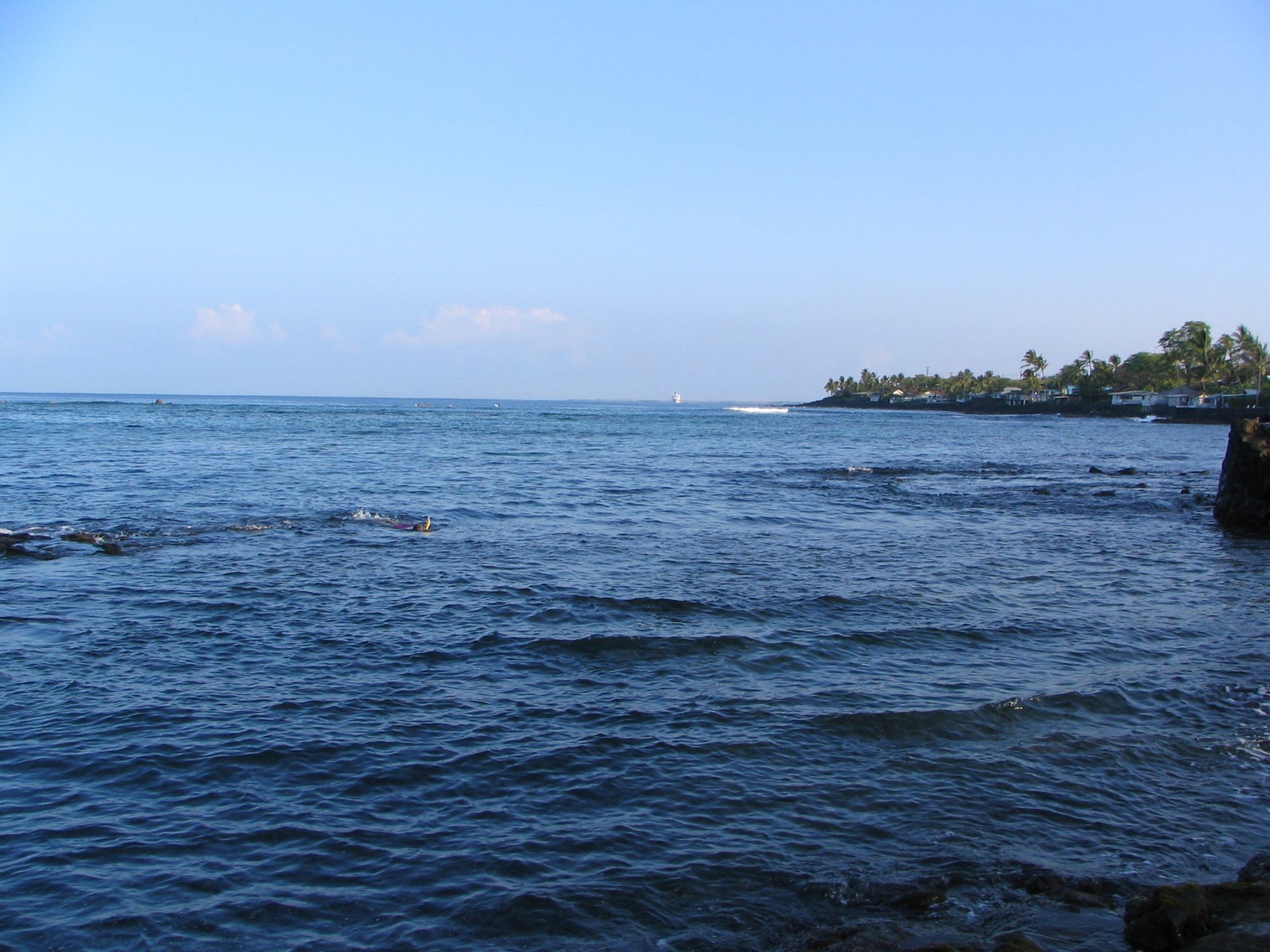 IMG_2393.jpg