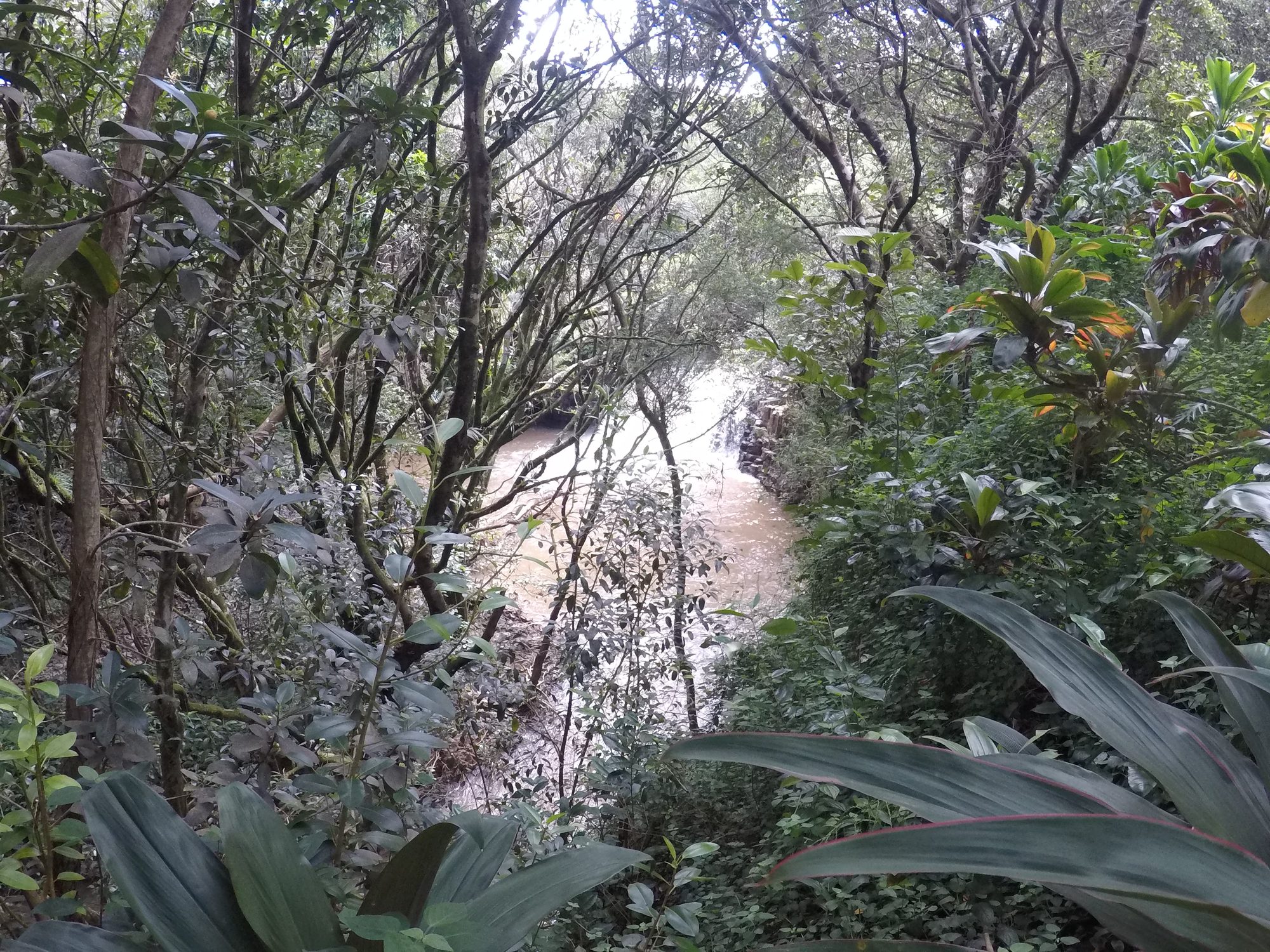 GOPR0072.jpg