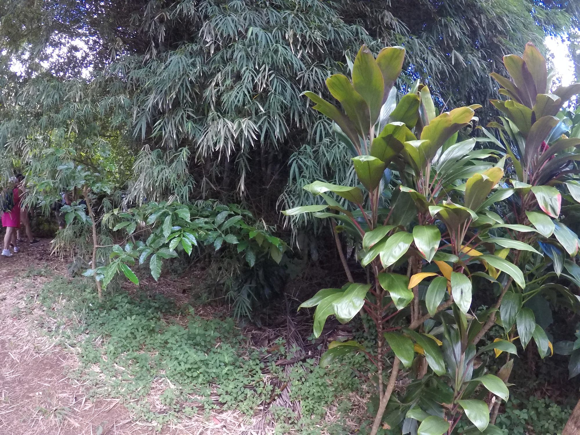 GOPR0083.jpg