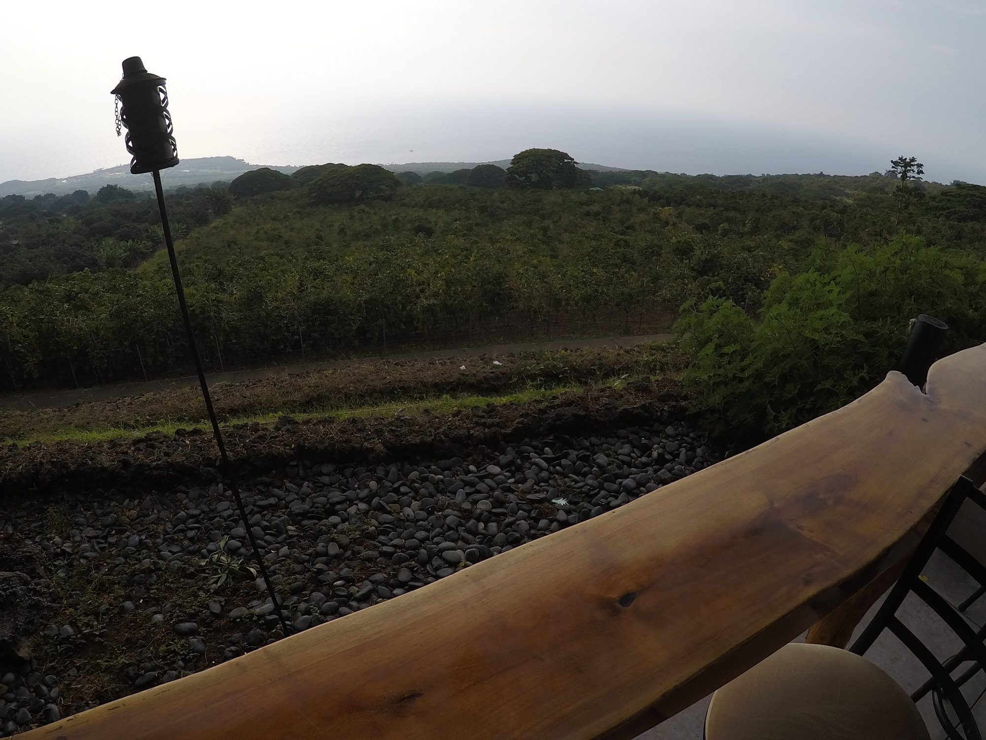 GOPR0198.jpg