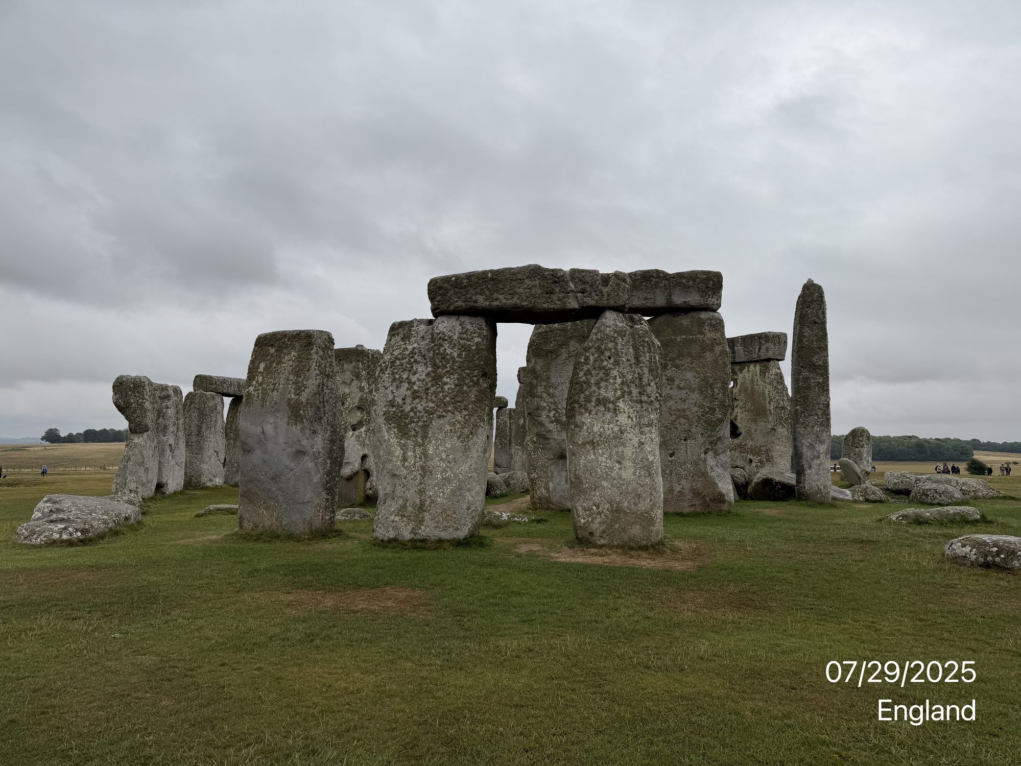 IMG_1444.jpg