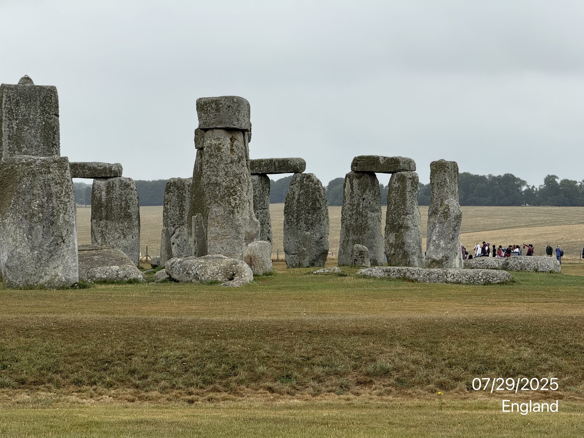IMG_4086.jpg